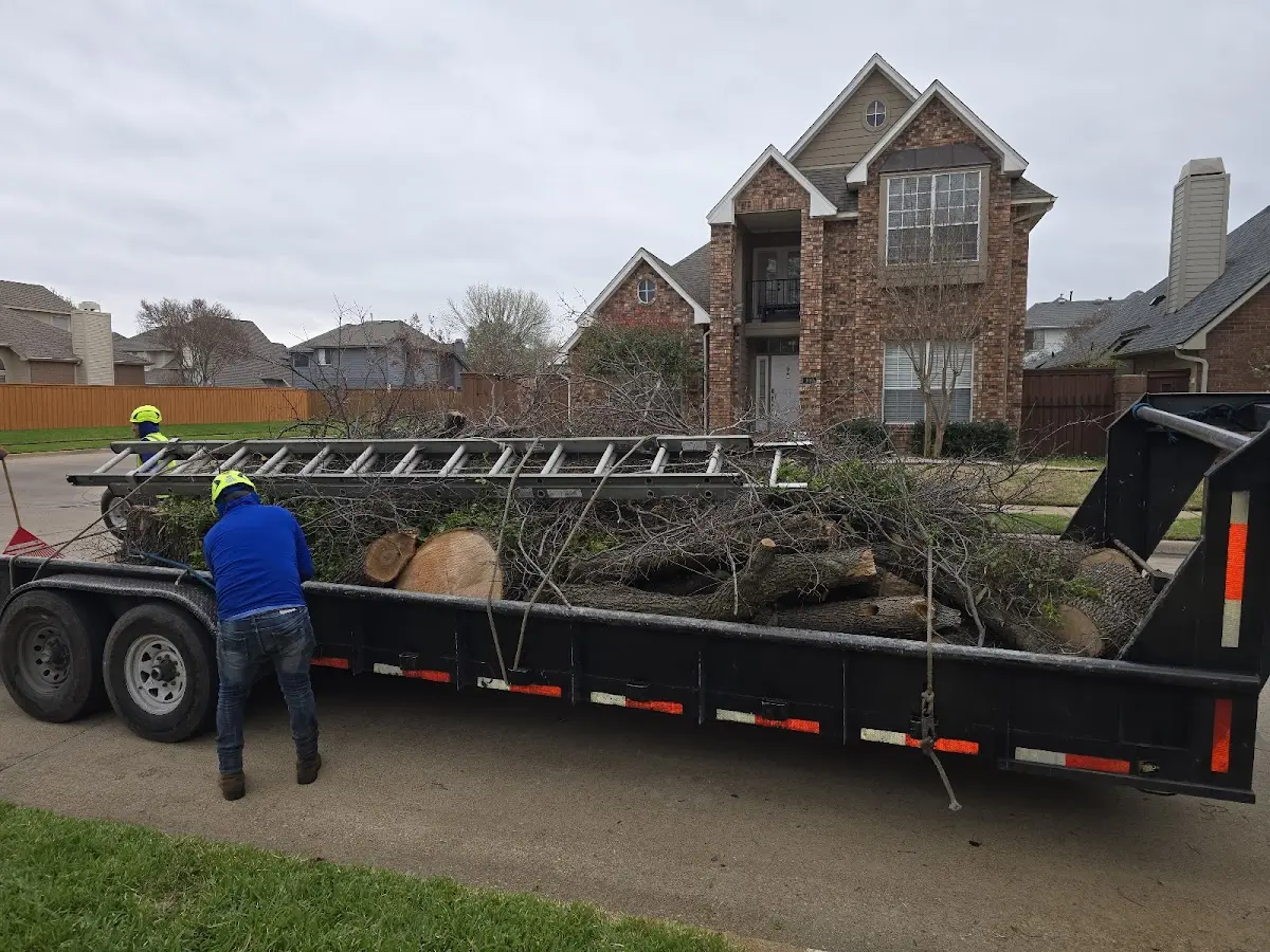 Expert Tree Removal with proper safety equipment in Saint Benedict